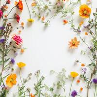 A minimalist arrangement of colorful wildflowers framing a blank space photo