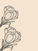 hand drawn tulip flower line art with coral background and blank space vector