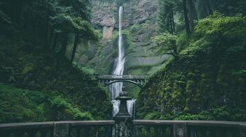 A view of a waterfall cascading through a stone arch in a lush forest photo