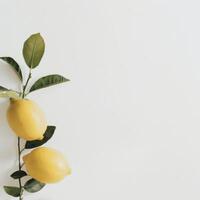 Two lemons with green leaves on a white surface photo