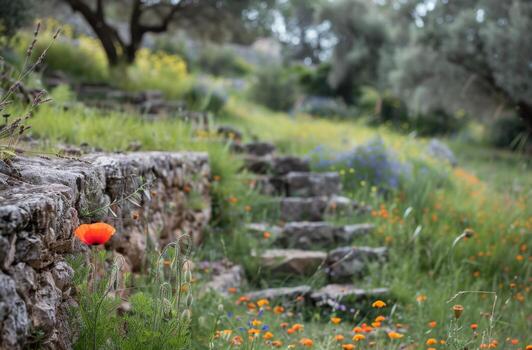 un vibrante amapola floraciones cerca Roca pasos en un floreciente jardín foto
