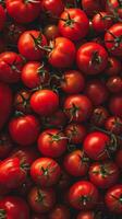 A vibrant close-up of fresh, red tomatoes arranged in a captivating display photo