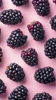 Blackberries arranged on a pink background photo