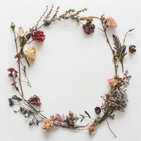 Dried flowers in circle, delicate against minimalist backdrop photo
