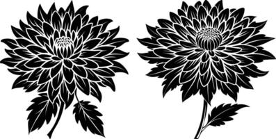 silhouette image of Chrysanthemum flower vector