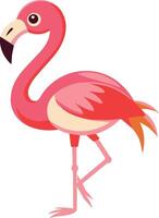 Art and Illustration of a flat color Flamingo. vector