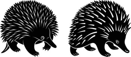 Silhouette image of Echidna Animals vector