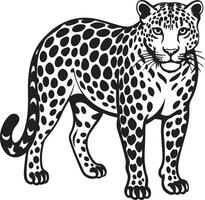 Amur leopard silhouette image. vector