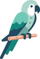 Art and Illustration of colorful parrot image. vector