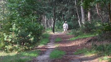 middle aged woman walks and breathes the air of a pine forest, uses an application to record calories burned and count steps on a smartphone, 5G Internet, slow motion video