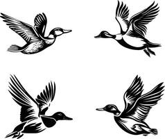 Set of Flying Duck Silhouette Illustrations, Diverse and Dynamic Designs for Wildlife and Nature-themed Projects vector