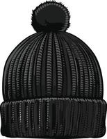 Woolen Cap Isolated on White Background vector