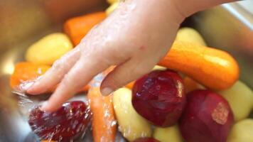 Vegetables in the sink under a stream of water from a tap. Preparation Ukrainian borscht, peeled carrots, beets, and potatoes are seen being washed in a sink. video