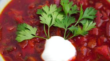 A bowl of of borscht red soup with a green leaf on top. The soup is garnished with a dollop of sour cream. video