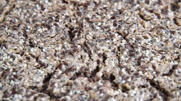 A close up of a piece of bread with a lot of seeds on it. The bread is brown and has a lot of texture. video