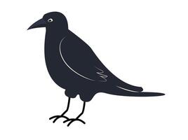 Black Crow illustration on white isolated . Flat simple vector