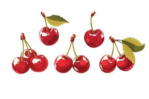 Doodle flat clipart. Sweet red realistic cherry. vector