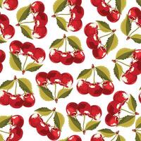 Seamless pattern with sweet red cherries. vector