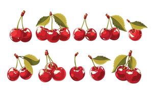 Doodle flat clipart. Sweet red realistic cherry. vector