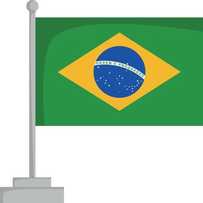 National flag of Brazil Illustration