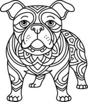 Mandala Coloring Pages for Stress Relief for kids and adults vector