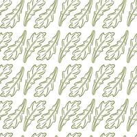 Seamless pattern of arugula lettuce leaves in line art style. Hand drawn botanical illustration design. Healthy eating. illustration on a white background. vector
