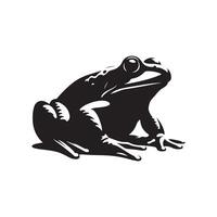 Exploring the Fascinating World of the Bullfrog Characteristics, Habitat, and Behavior vector