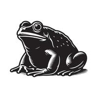 Exploring the Fascinating World of the Bullfrog Characteristics, Habitat, and Behavior vector