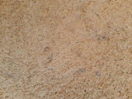 The texture of a board made of sawdust in wet conditions exposed to water photo