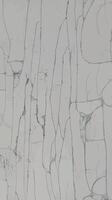 Texture with cracks of old paint. . vector