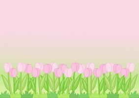 little tulip field background vector