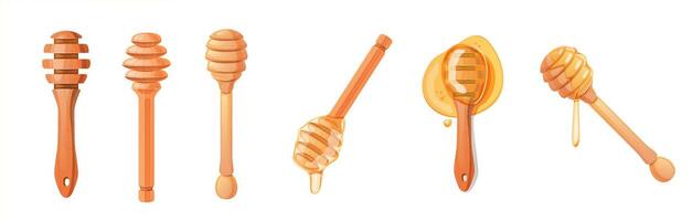Set of Honey Dippers with Dripping Honey vector
