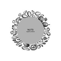 Border background with engraved of peanuts, almonds, walnuts, pecans. Hand drawn ink round label illustration of nuts kernels and shells for logo, card, sign, wrapping, print, paper vector