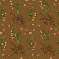 Pistachios nuts seamless pattern. Hand drawn engraved repeating background with nuts. Boho illustration. Organic food ingredient, nutty oil. Design for label, card, print, wrapping, textile vector