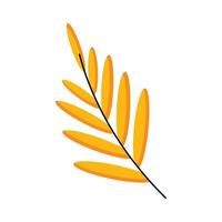 Autumn fallen yellow leaf. A leaf of a tree. Flat illustration. vector