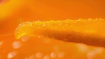 The tip of a yellow reamer is coated in sticky orange pulp a sign of its successful juice extraction process video