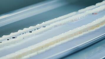 Small pills are sorted and counted before going through a machine to be packaged into packs.. video