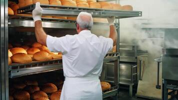 A senior chef is working in a bakery. Placing bread on the shelf The bread was brown and the man wore a white apron. video