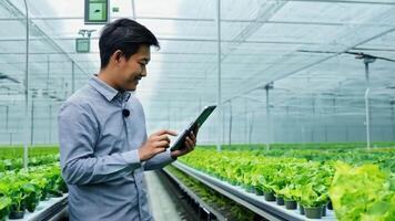 A Young asian farmer uses tablet to check quality and quantity of orga video