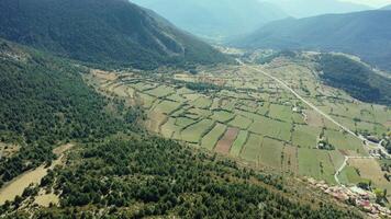 Aerial view of high mountain plantation fields video