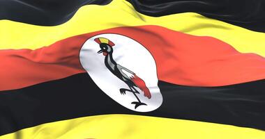 Uganda flag waving at wind in slow with blue sky, loop video
