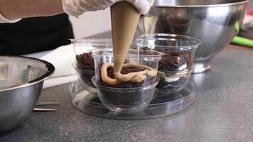 Confectioner squeezes caramel cream out of a pastry bag into plastic molds. video