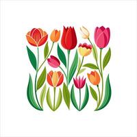 Various types of colorful flowers vector