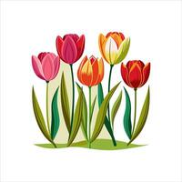 Various types of colorful flowers vector