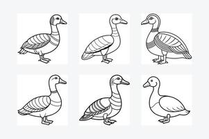 Egyptian Goose sits icon , Duck Editable Stroke Line Icon, Goose Editable Stroke Line Icon, vector