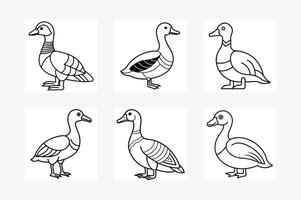 Egyptian Goose sits icon , Duck Editable Stroke Line Icon, Goose Editable Stroke Line Icon, vector