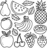 Fruits coloring page for kids colouring book page illustration vector