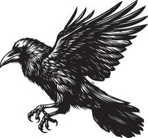 Raven Sketch art Raven line art silhouette illustration vector