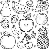 Fruits coloring page for kids colouring book page illustration vector