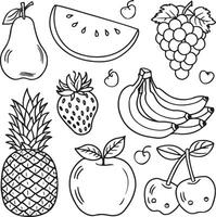 Fruits coloring page for kids colouring book page illustration vector